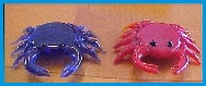 Crabs
