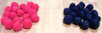 Raspberry and Blackberry Embeds